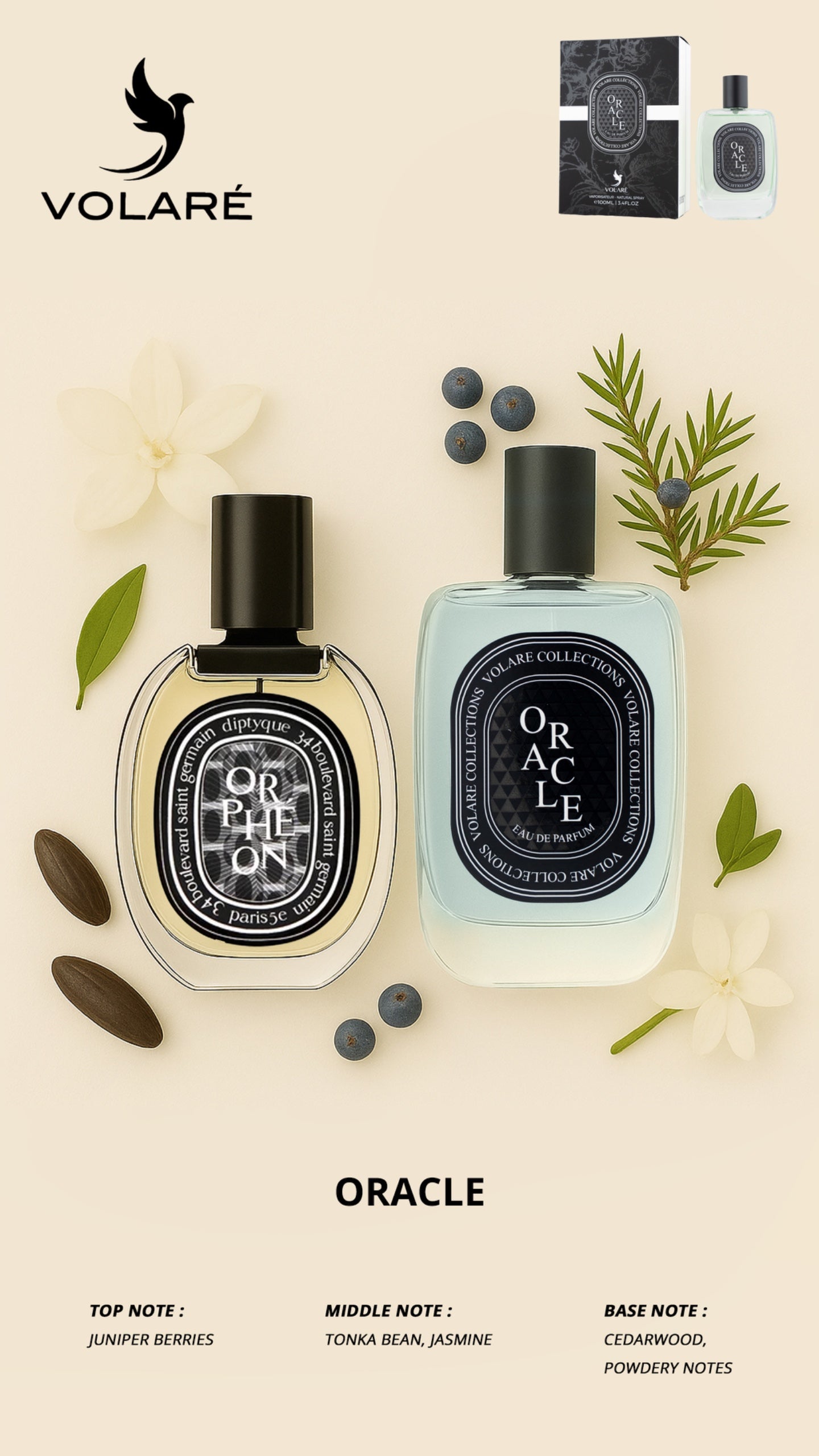 Two bottles of Volare Oracle perfume with botanical elements on a light background