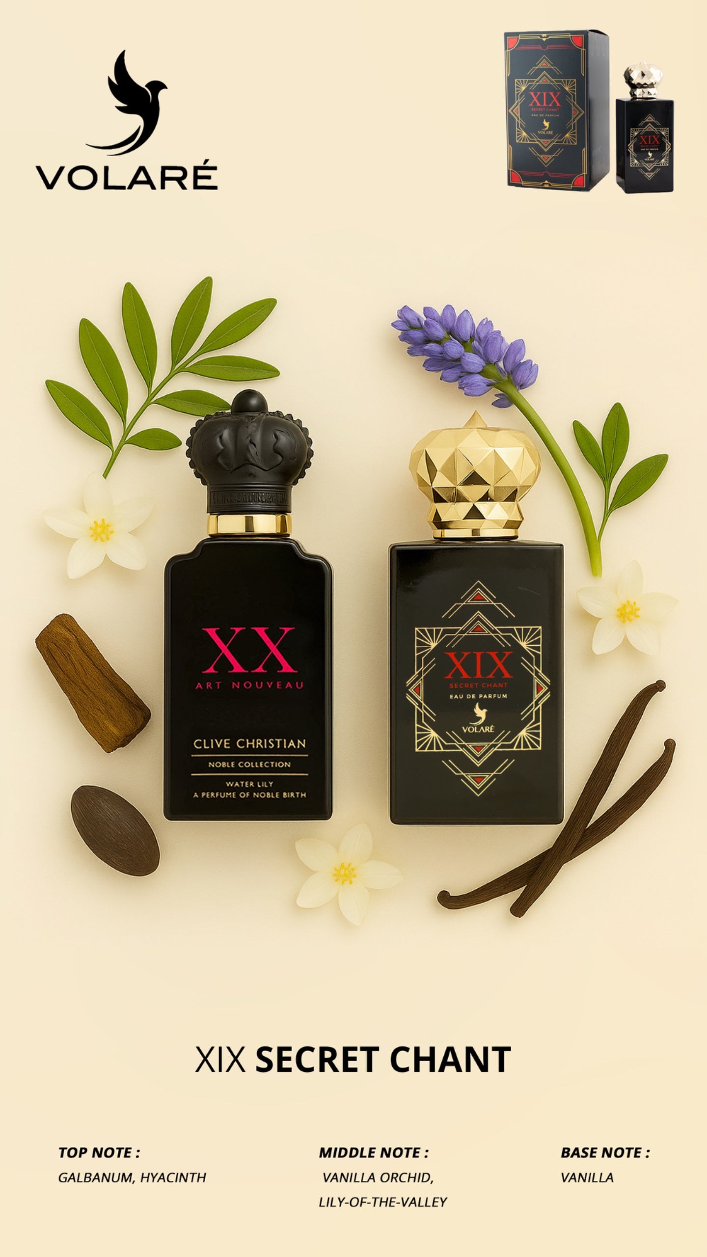 Two perfume bottles labeled 'XIX' with decorative elements on a light background, featuring the brand 'Volaré'.