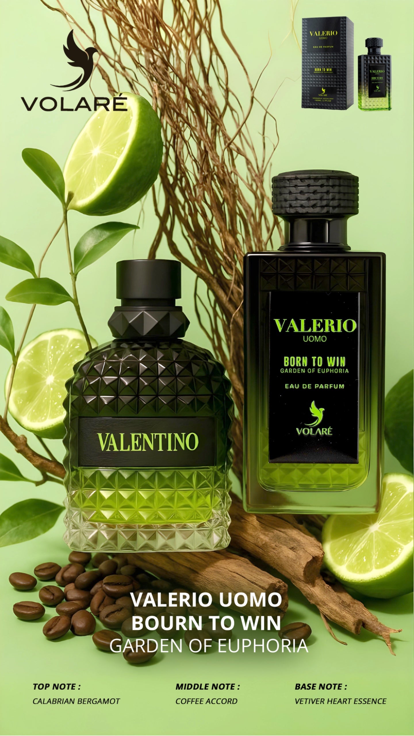 Valerio UOMO Born To Win – Garden of Euphoria